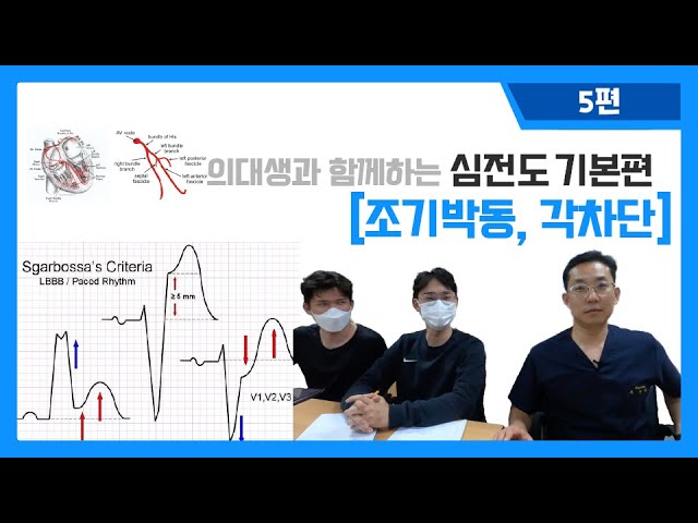 대한부정맥학회 Korean Heart Rhythm Society