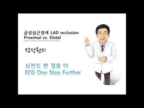 대한부정맥학회 Korean Heart Rhythm Society