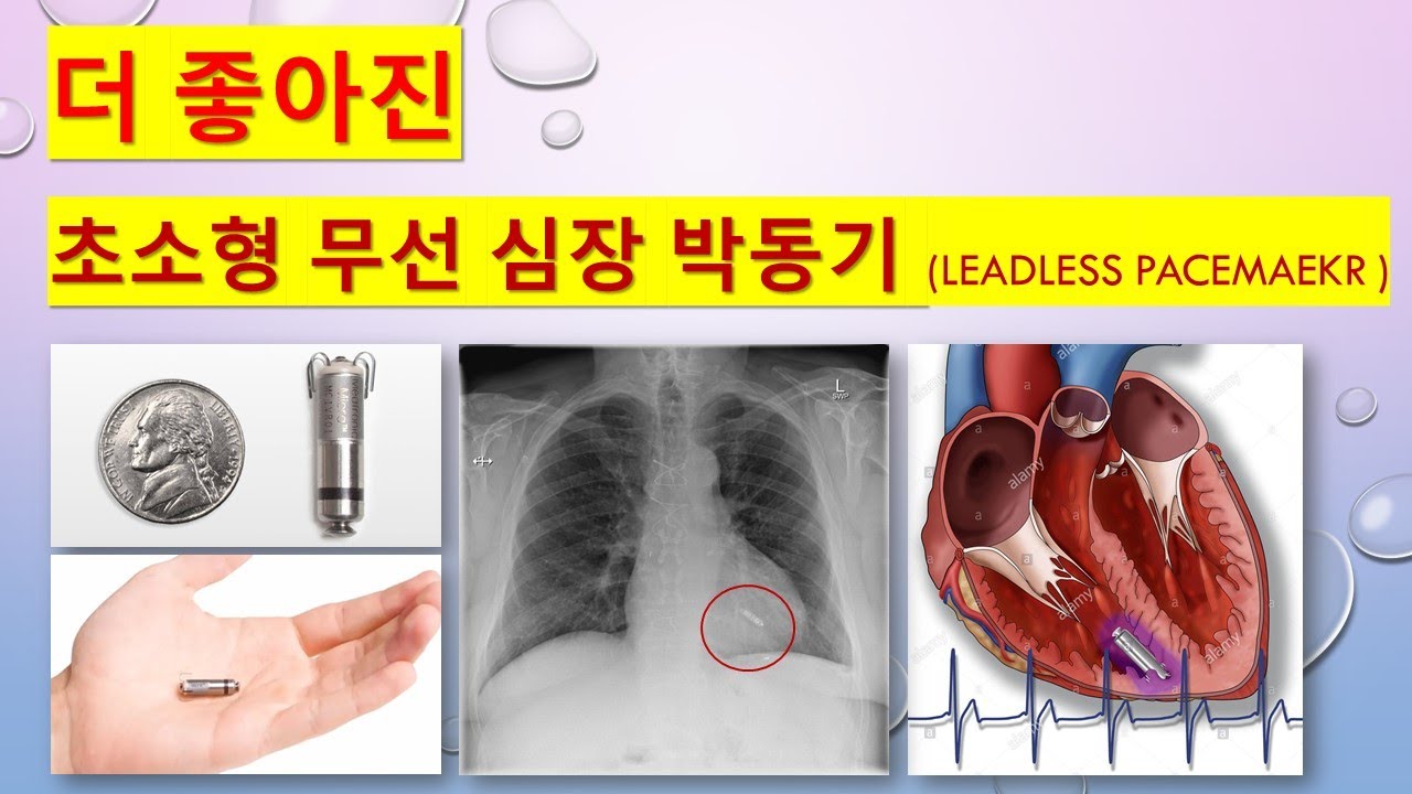 대한부정맥학회 Korean Heart Rhythm Society